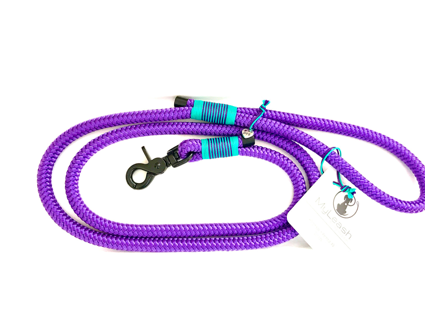 Standard Leash 6ft