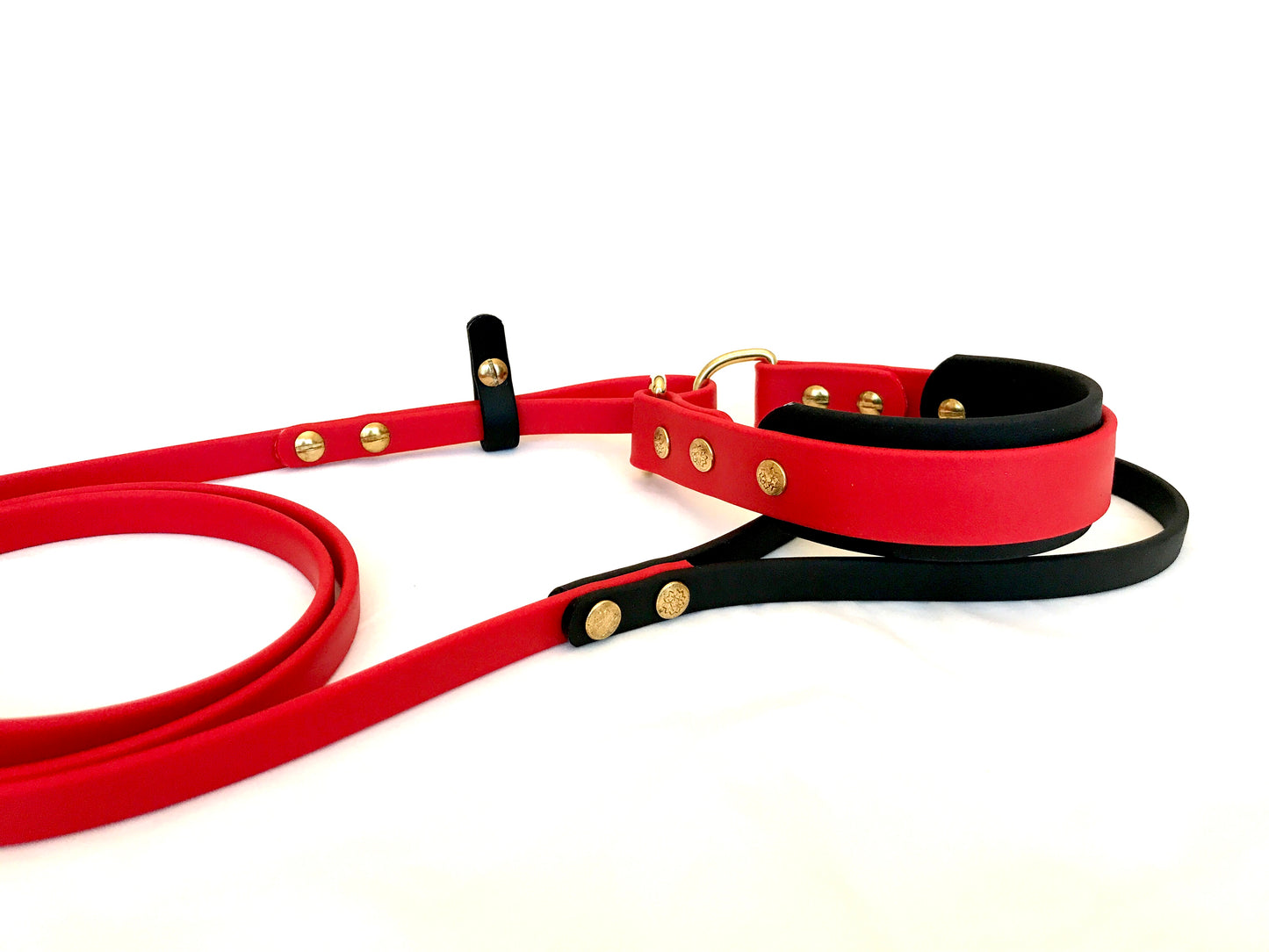 French Martingale Leash