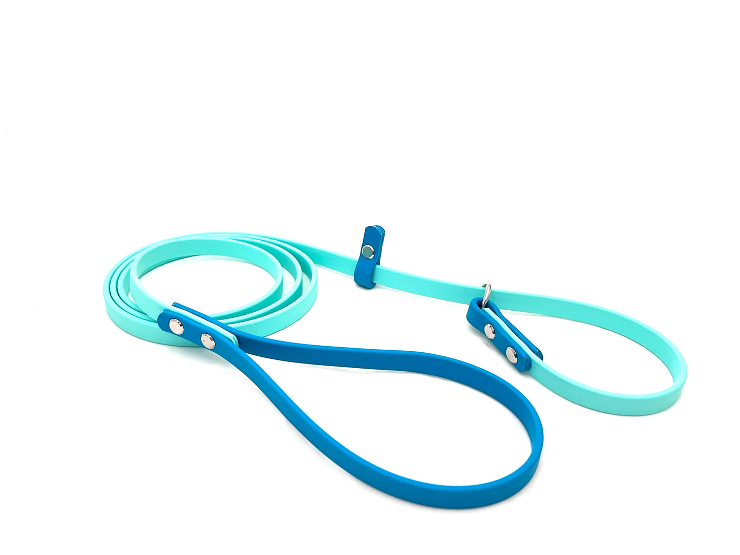 Dual Colour Slip Leash