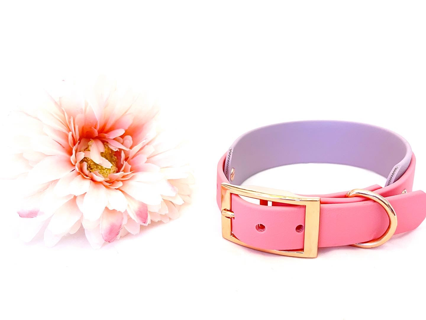 Double Layer Collar