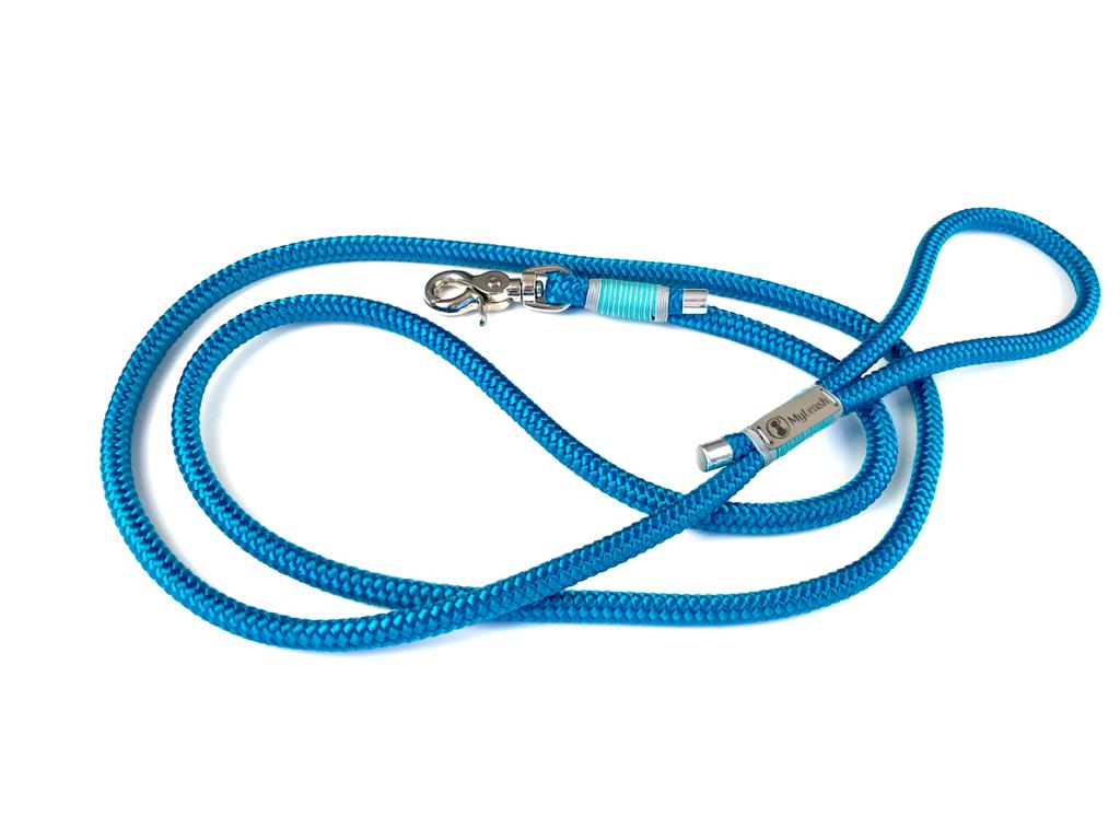 Standard Leash 6ft